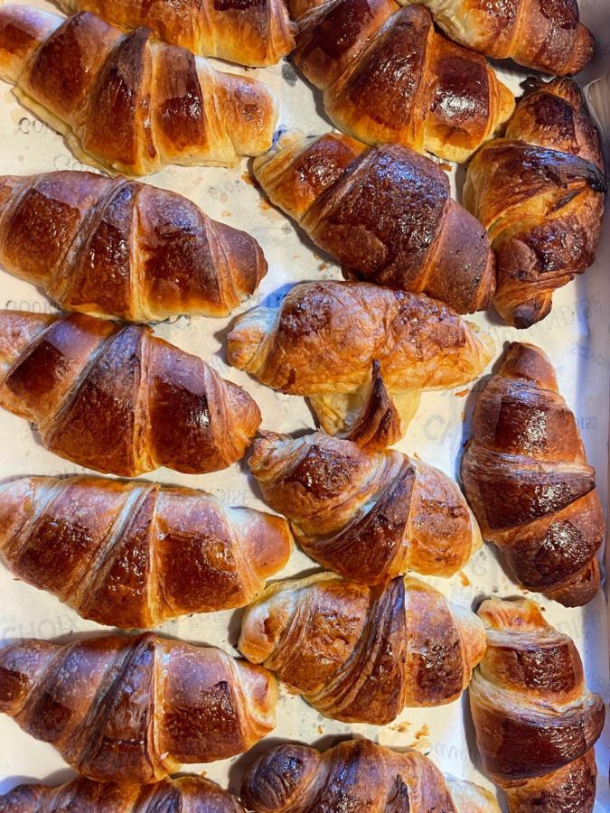 Troche Dordogne Et Correze Vacances Bnb מראה חיצוני תמונה